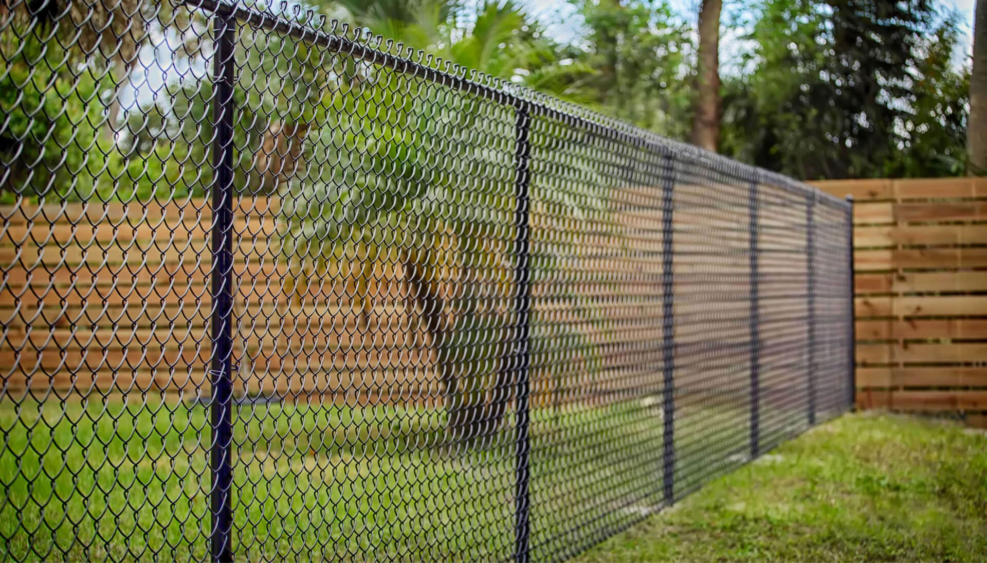 Chain Link Fencing services in Albany