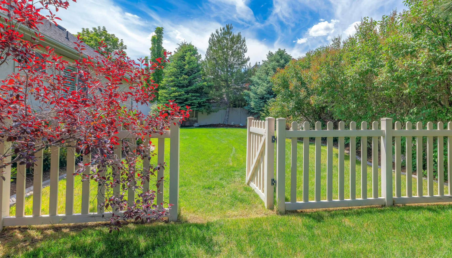 A functional fence gate providing access to a well-maintained backyard, surrounded by a wooden fence in Albany